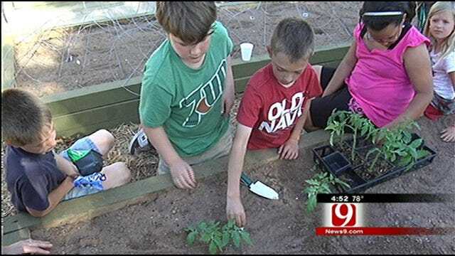 Kids Take Part In YMCA's Garden Program