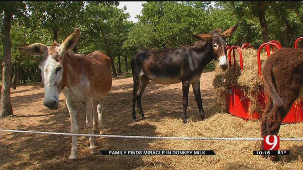 Oklahoma Family Turns To Donkey Milk To Help Their Sick Child