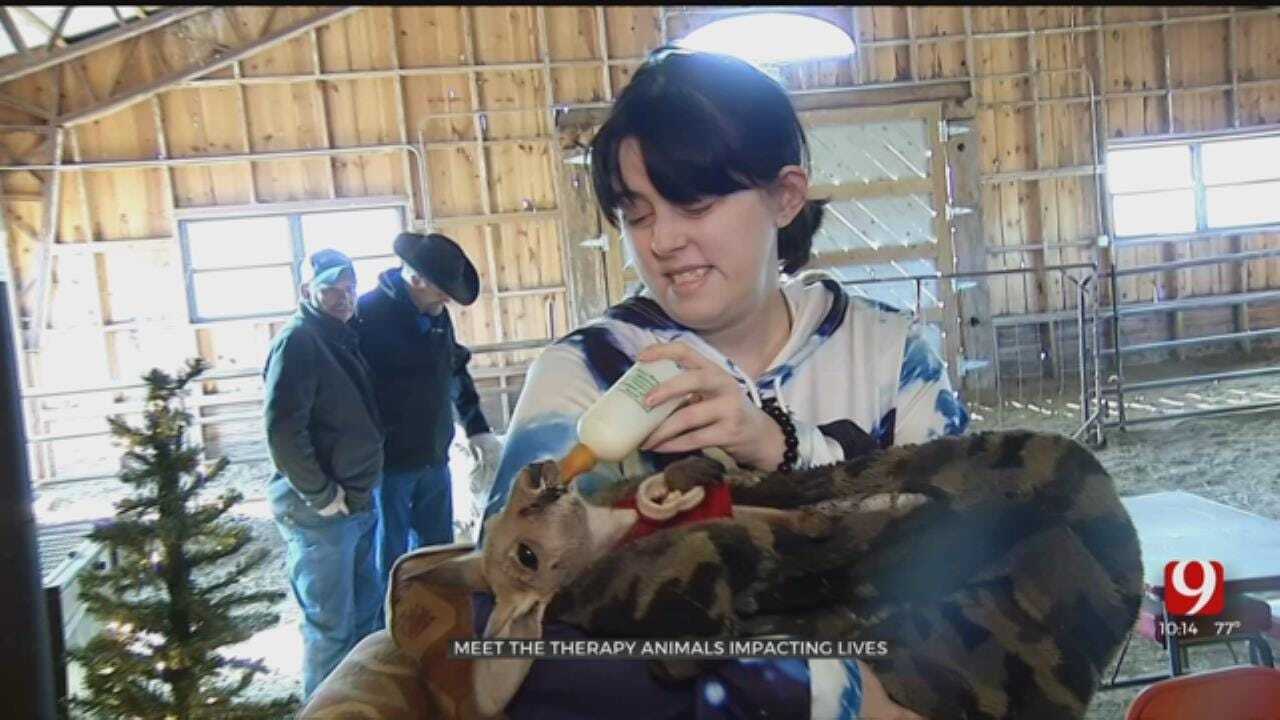 Oklahoma 'Oasis' Takes Animal Therapy To New Level