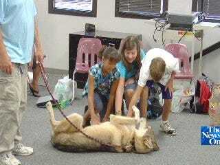 Real Timber Wolf Greets New Students at Thoreau Demonstration Academy