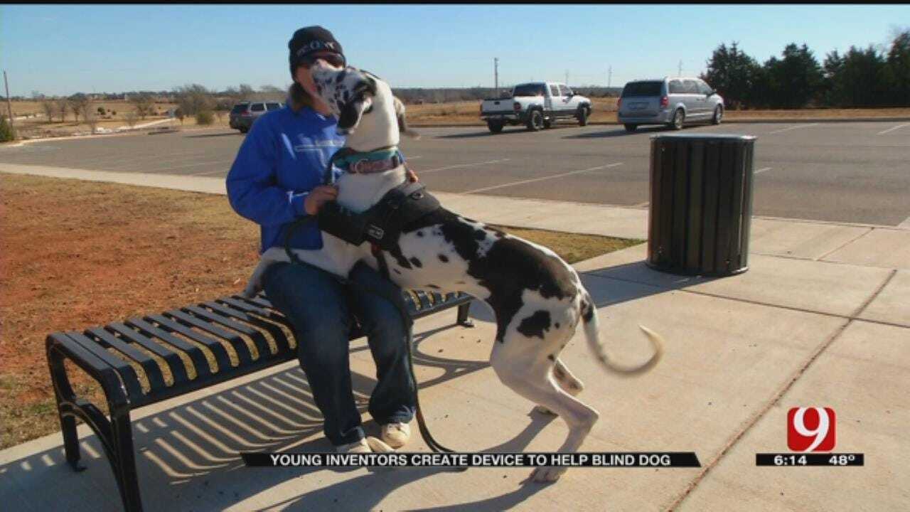 Young Robotics Team In Norman Invents Device For Blind Dogs