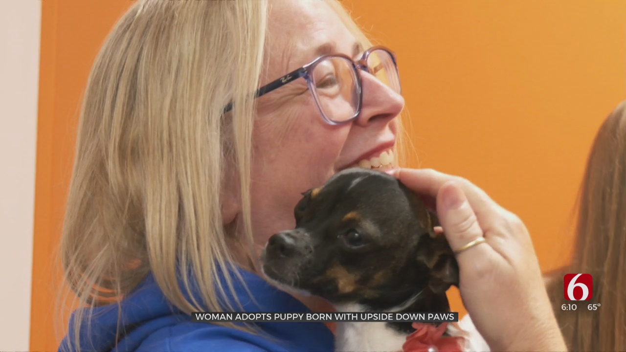 Kansas Woman Adopts Puppy Treated At OSU For Upside Down Paws  