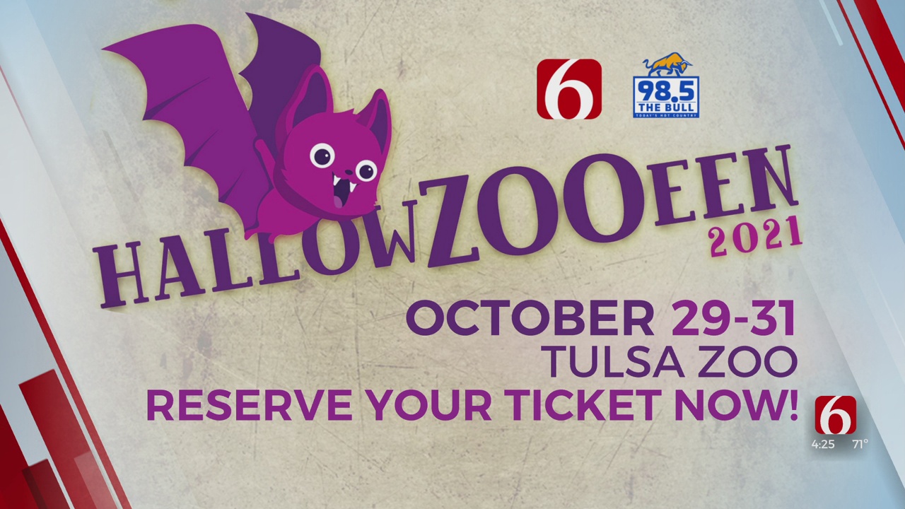 Watch: Director Of Development For The Zoo Joins The Show To Talk Hallowzooeen