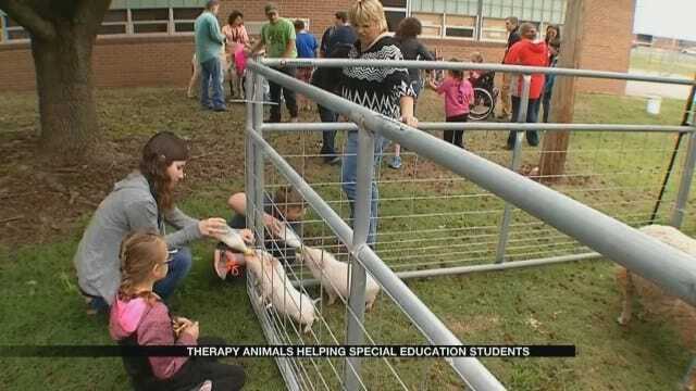 Therapy Animals Helping Lexington Special Education Students