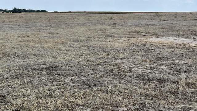 Gov. Stitt Issues Executive Order Aimed At Bringing Relief To Oklahoma Farmers Impacted By Drought 