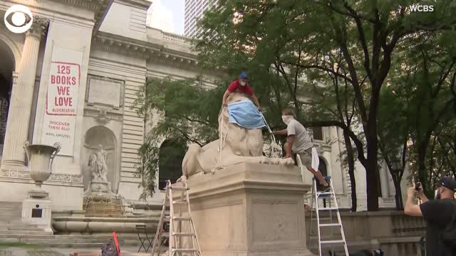 WATCH: New York Public Library Lions Cover Their Roar
