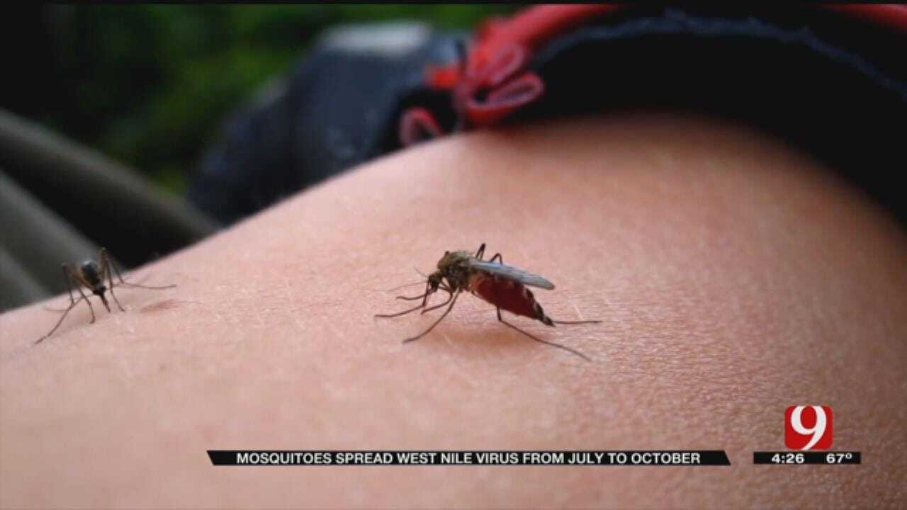 Medical Minute: Preventing Mosquito Bites