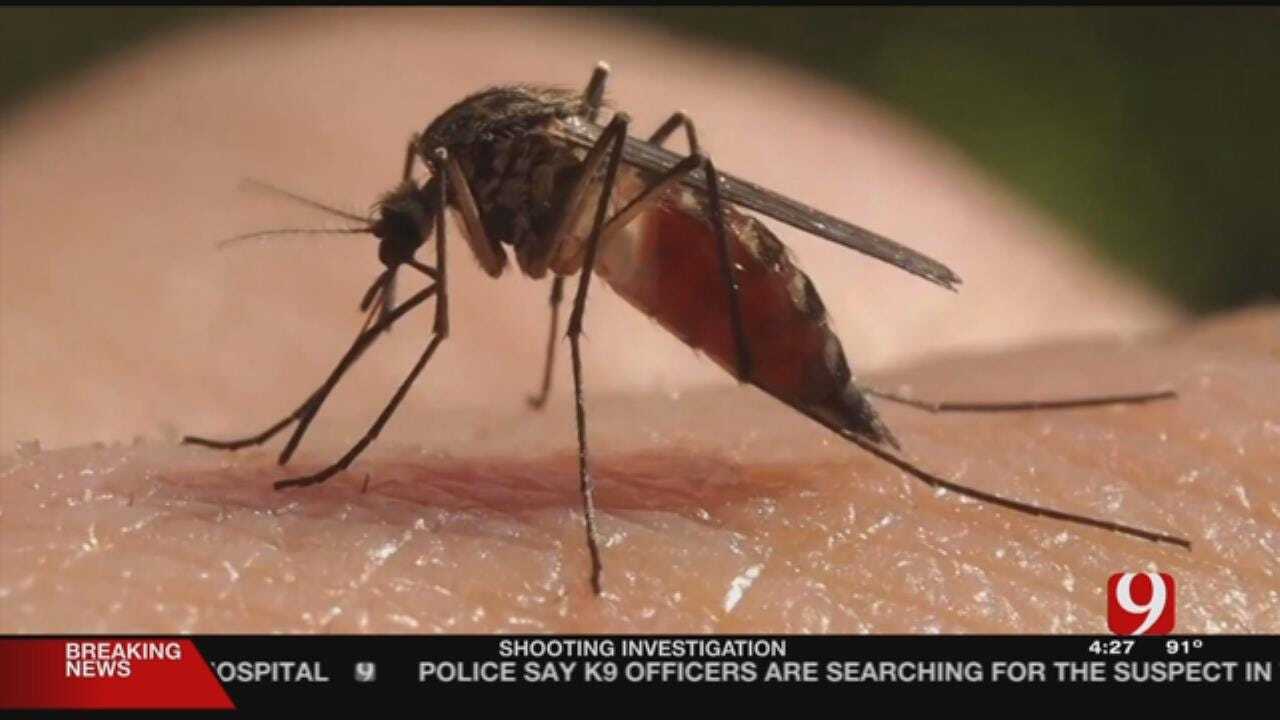 Medical Minute: Mosquito Season & Zika Concerns