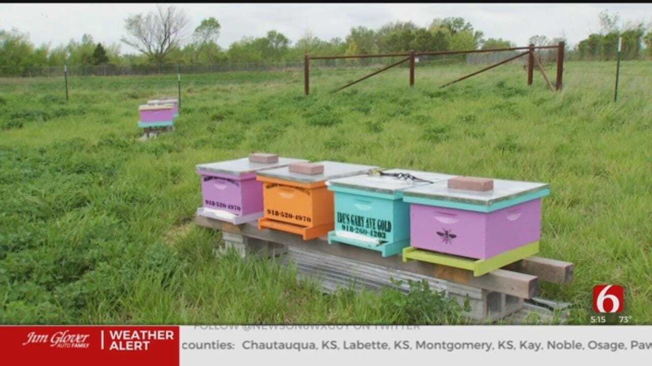 Former Oklahoma 'Superfund' Site Now Home To Honey Bees