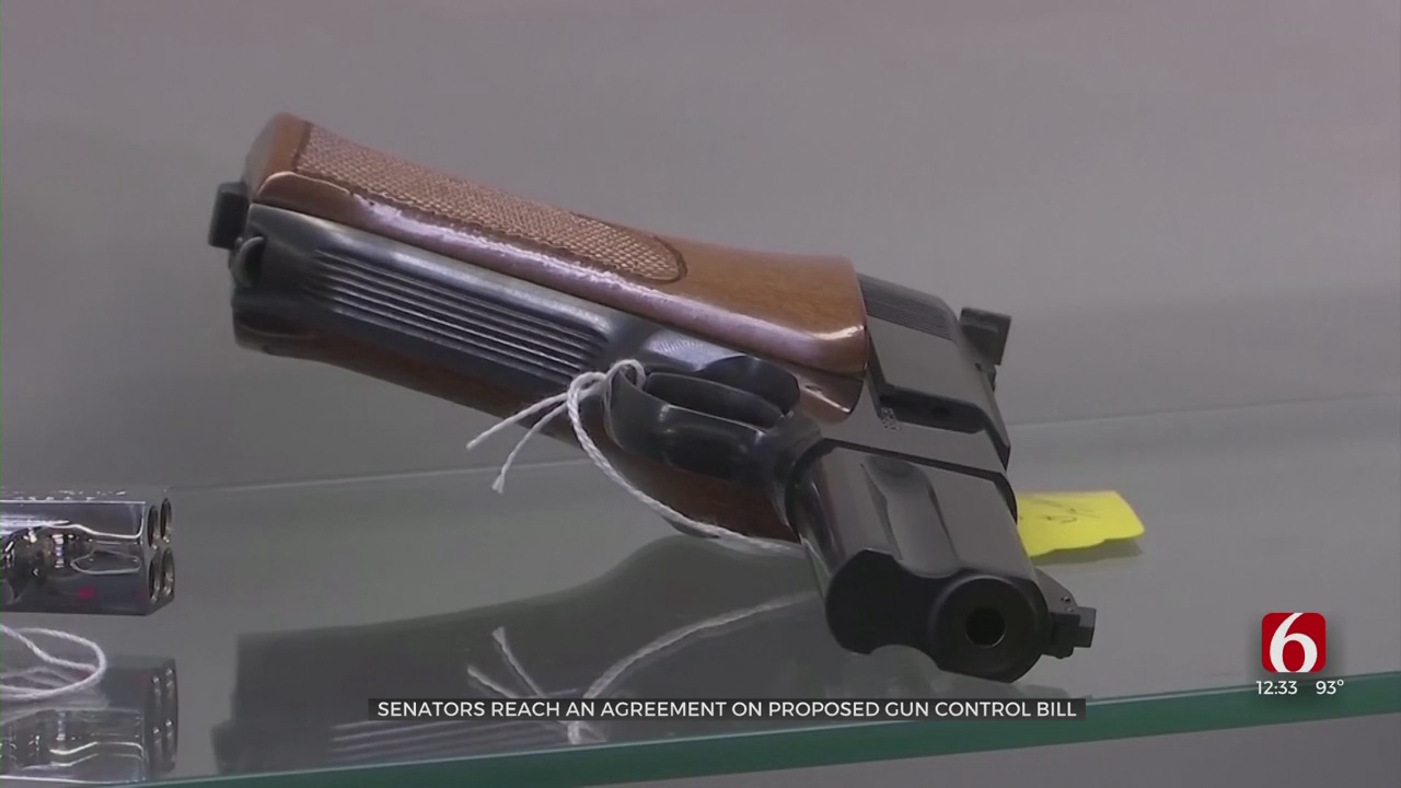 20 Senators Announce Outline Of Bipartisan Deal To Reform US Gun Laws