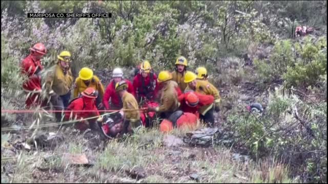 Father And Son Rescued After Car Plunges 500 Feet Down California Cliff 