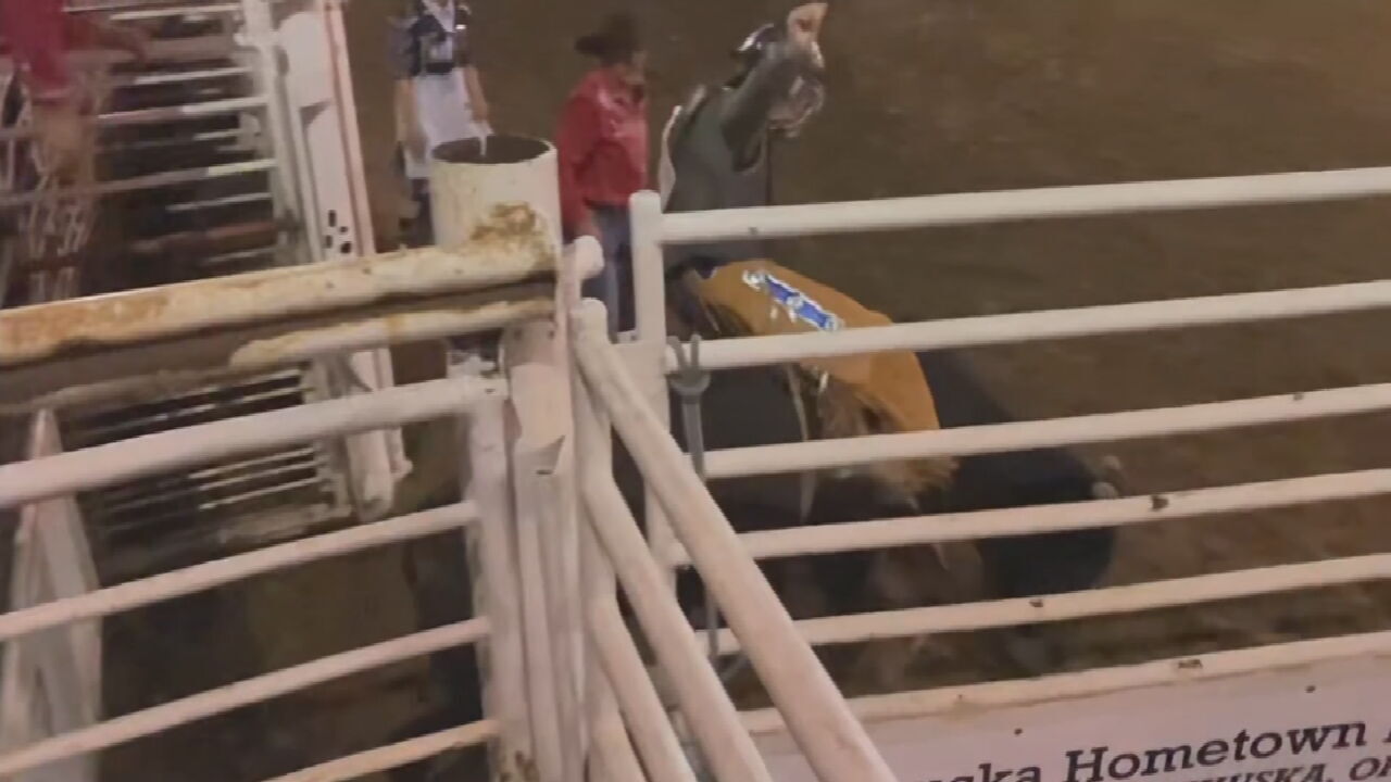 Watch: News On 6's Brooke Griffin Tries Her Hand At Bull Riding 