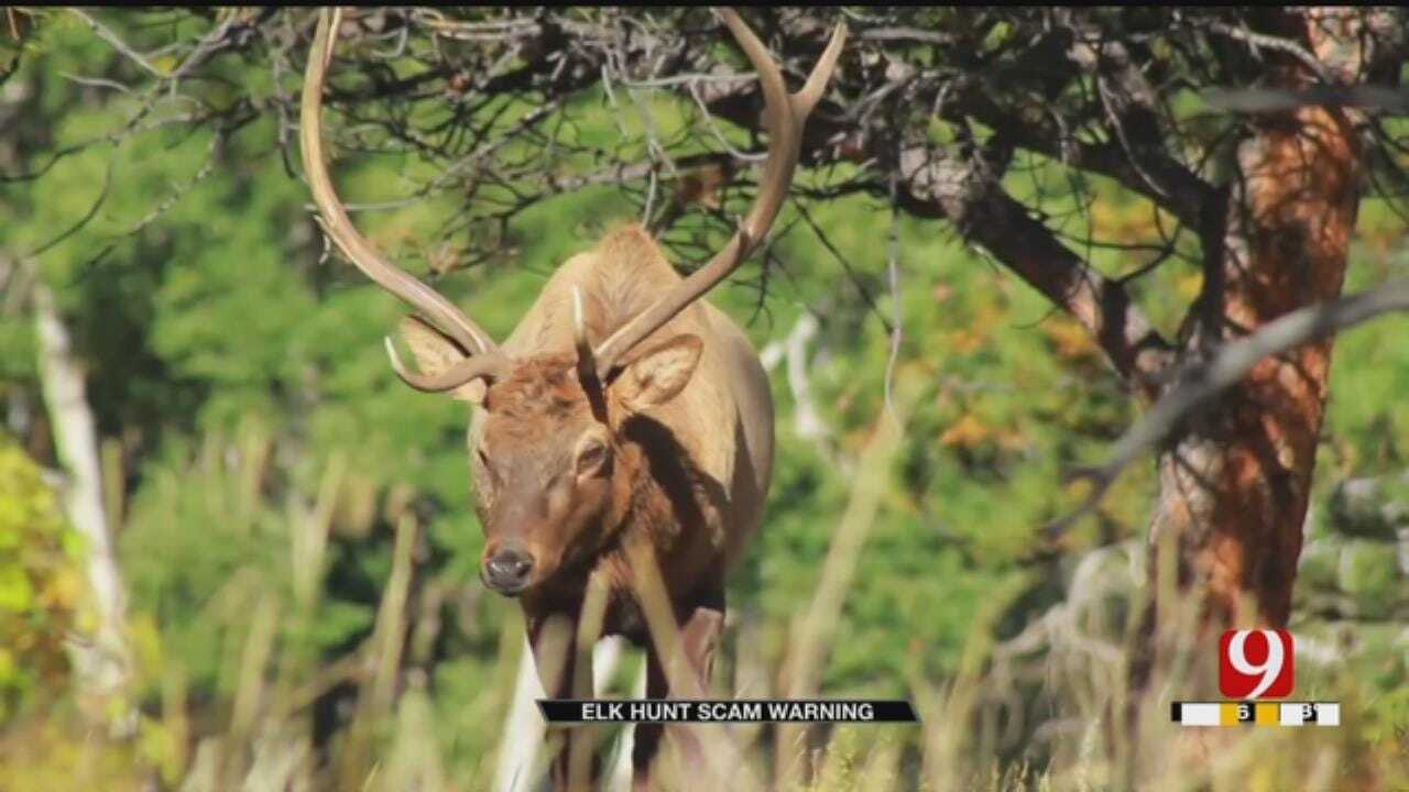 Suspect Accused Of Oklahoma Elk Hunting Scam