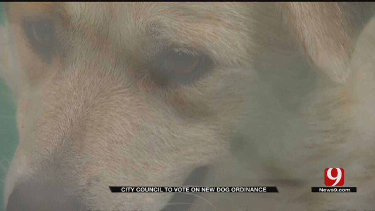 OKC Looks To Change Animal Welfare Laws