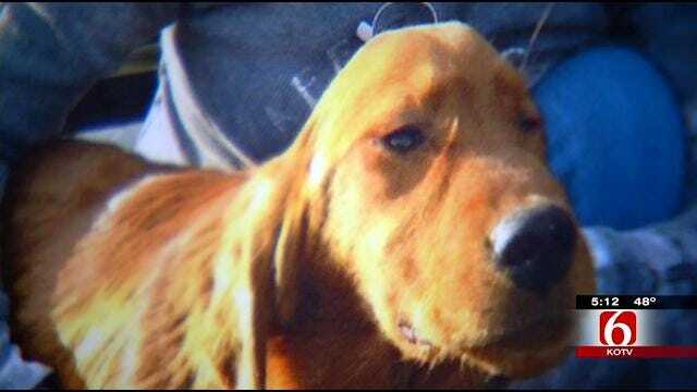 Tulsa Woman Raising Money For Lifesaving Dog