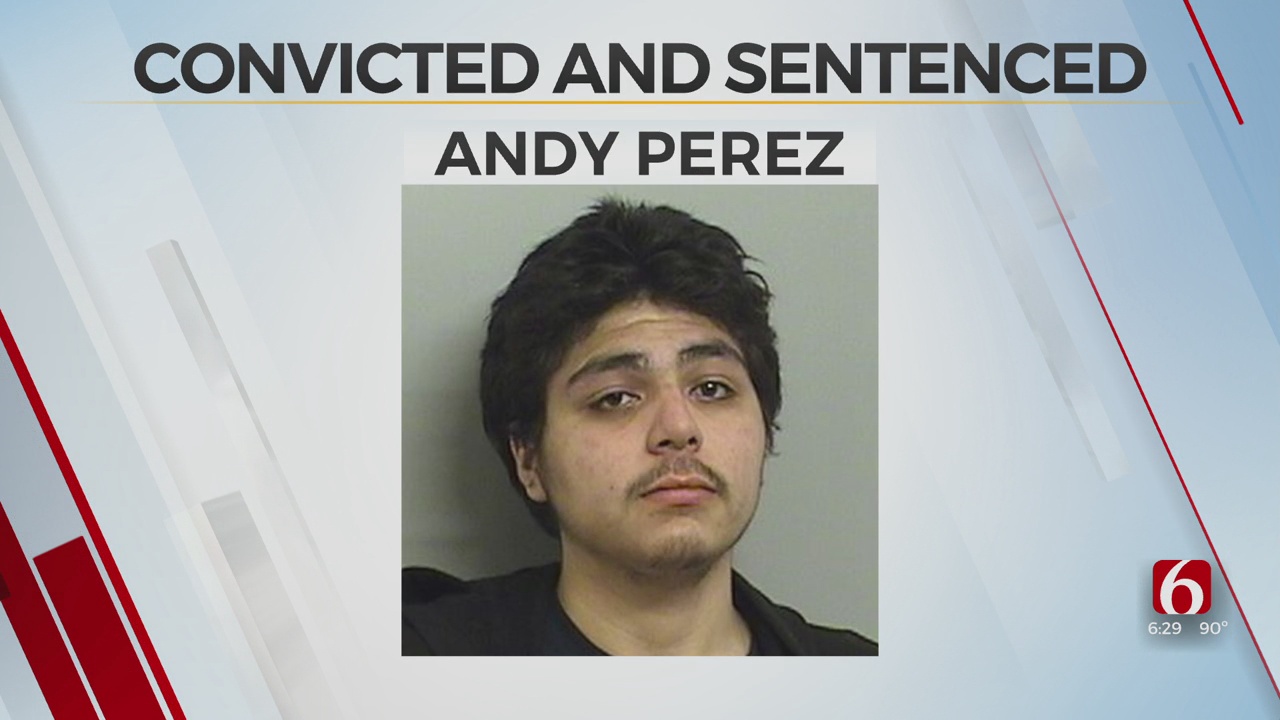 Man Convicted, Sentenced For Beating His Mother With Hammer