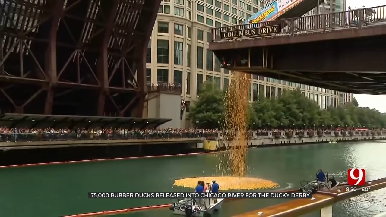 75,000 Rubber Ducks Dive Into Chicago River For Ducky Derby
