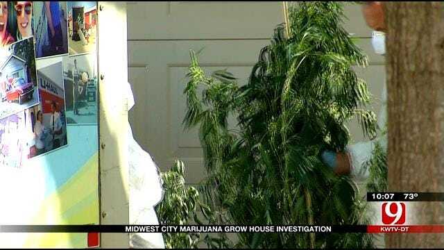 Midwest City Police Investigating Marijuana Grow Operation