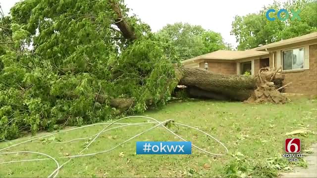 Thursday Night Storms Snap Trees, Leave Damage In McAlester