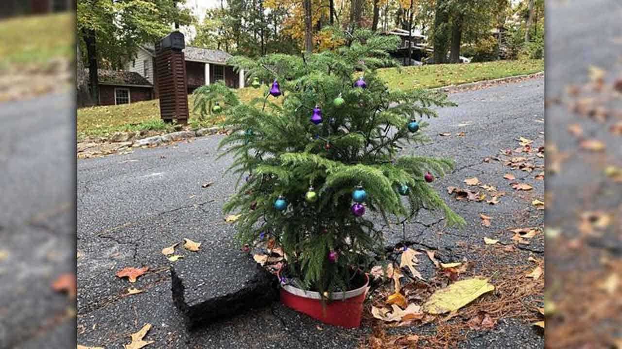 Homeowners Put Christmas Tree In Pothole, Sing Carols To Get City's Attention