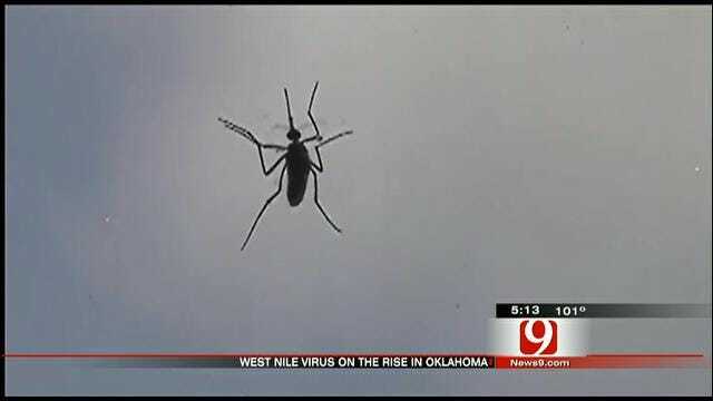 Warning Issued On Rise Of West Nile Virus In Oklahoma