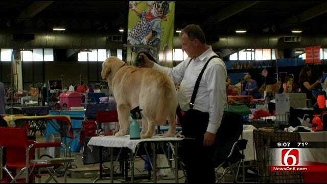 More Than 1,000 Dogs Compete At Tulsa's Roundup Dog Show