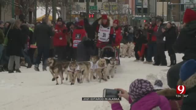 Pandemic Forces Route Change, Other Precautions For Iditarod