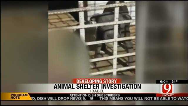 Disturbing Video Taken At Idabel Animal Shelter Sparks Outrage