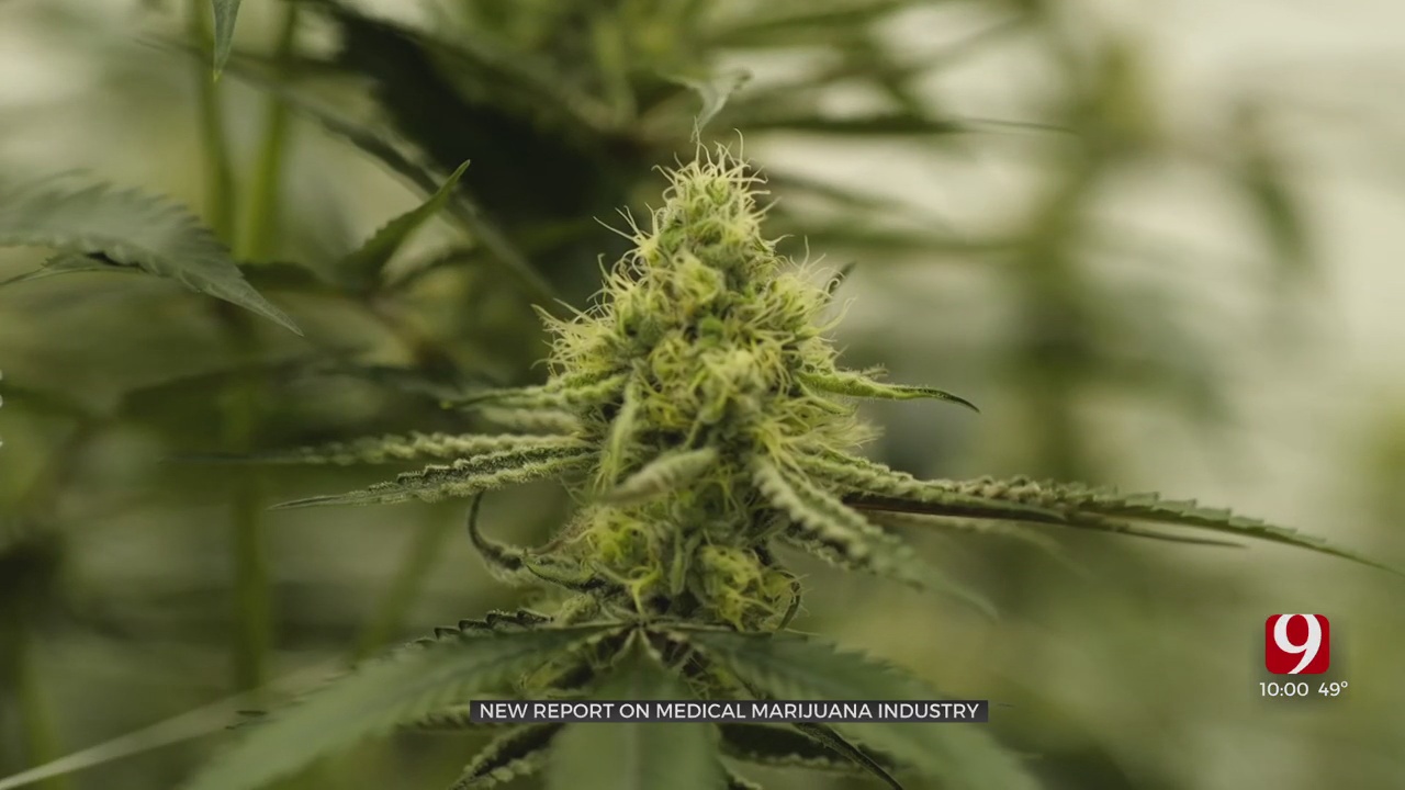 Report: Oklahoma Has ‘Most Accessible’ Medical Marijuana Industry In U.S. 