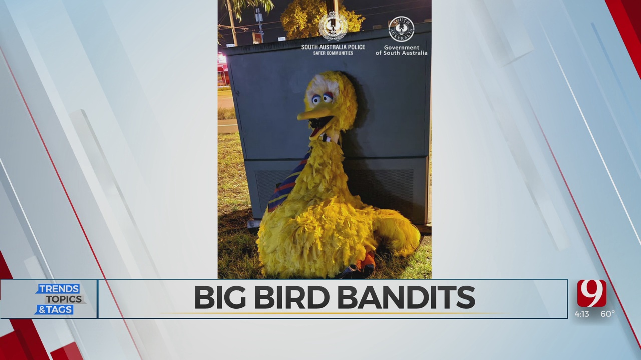 Trends, Topics & Tags: Big Bird Bandits 