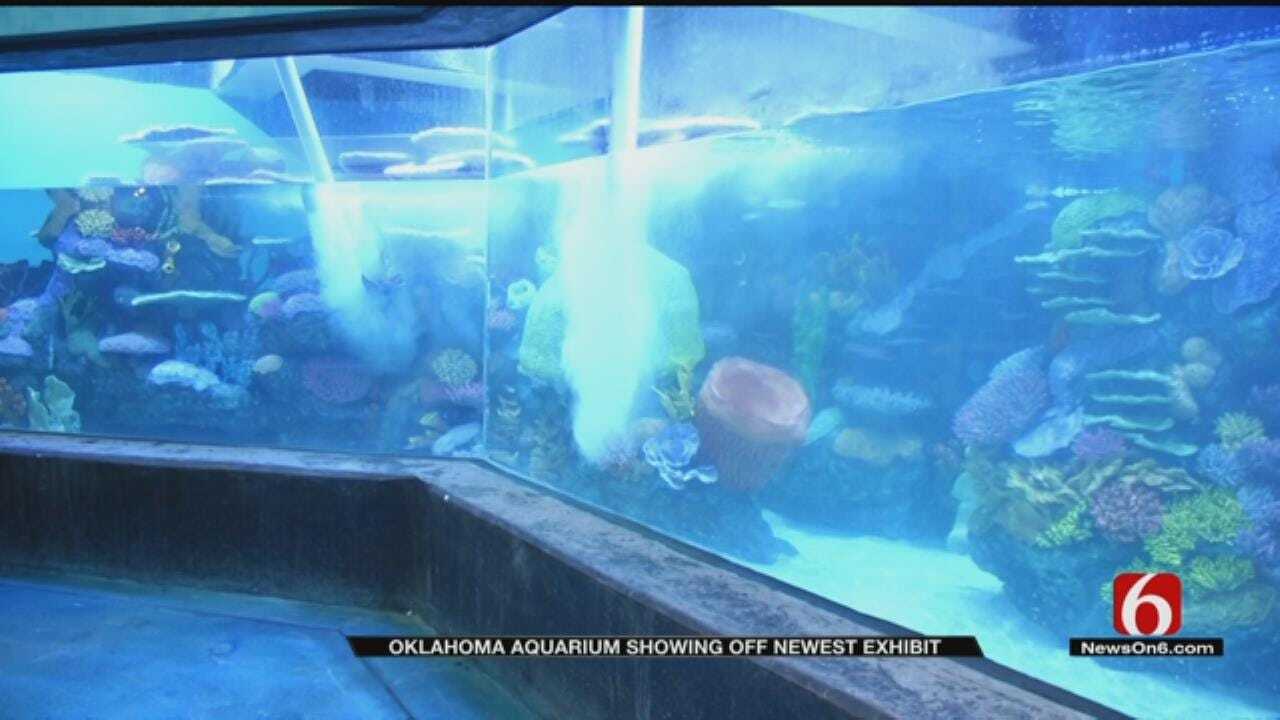 Oklahoma Aquarium Putting Final Touches On Newest Exhibit