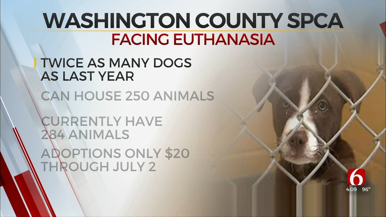 Washington County Animal Shelter Faced With Putting Down Animals Due To Overcrowding
