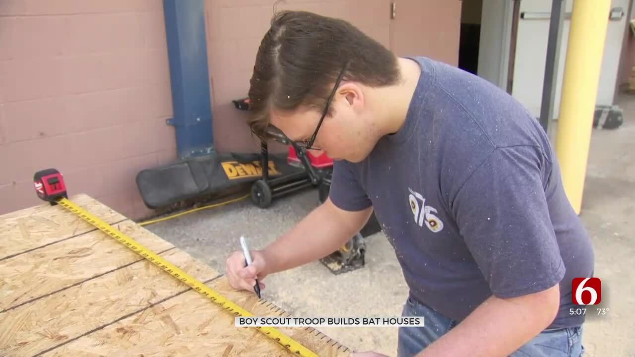Boy Scout Troop Builds Bat Houses To Save Endangered Species