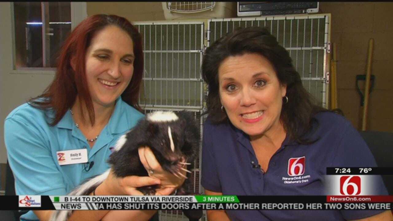 Wild Wednesday: LeAnne Taylor Feeds A Skunk