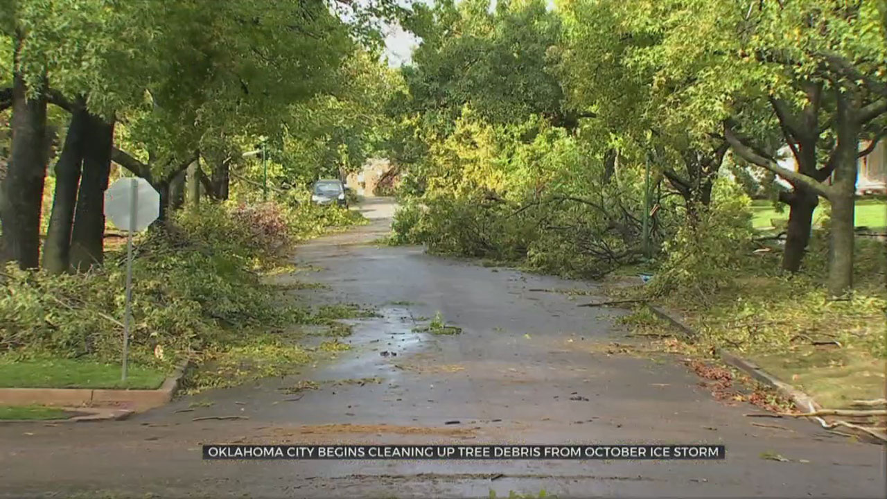 OKC Begins Cleaning Up Tree Debris From October Ice Storm