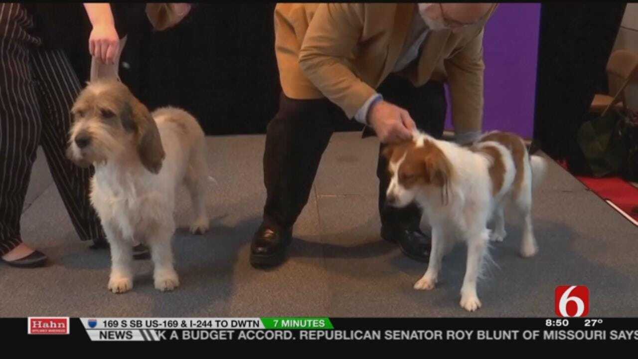 Westminster Kennel Club Welcomes 2 More Breeds