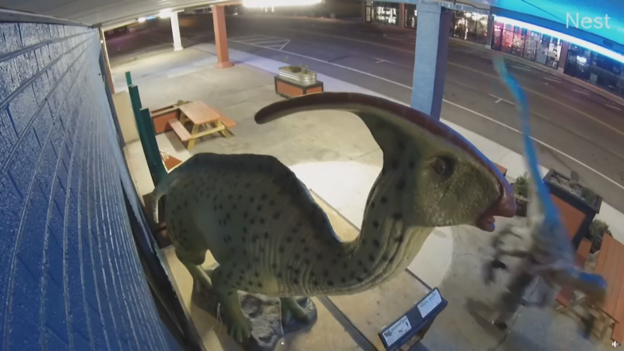Shop Owner Says Stolen Dinosaur Statue Won't Bring Him Down