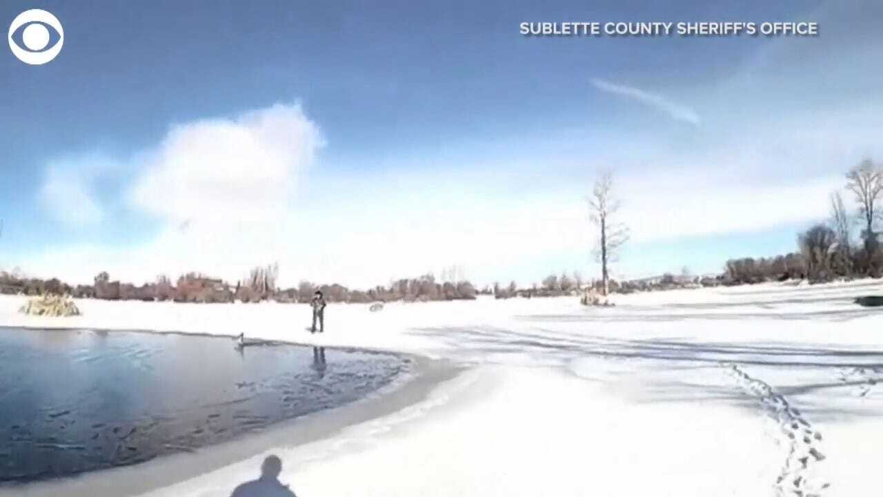 WATCH: Deer Rescued From Frozen Pond
