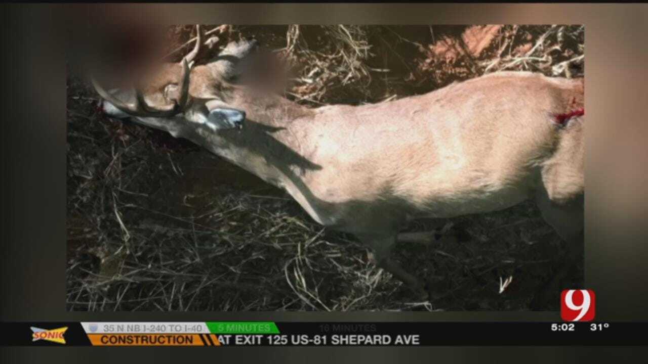 Cleveland County Game Wardens Search For Deer Poachers