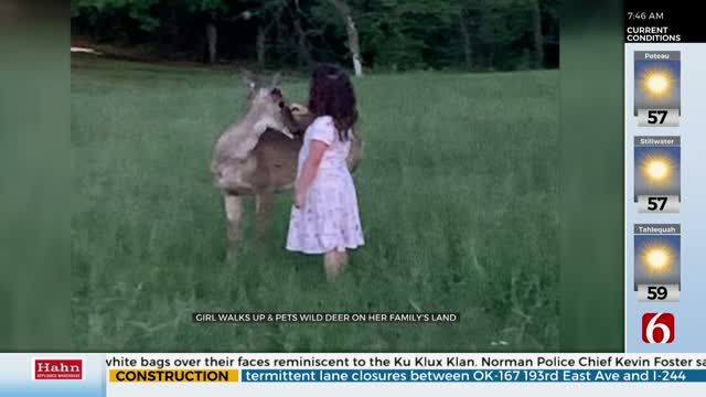 WATCH: Oklahoma Girl Has Rare Chance To Pet Deer