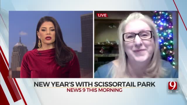 Scissortail Park To Host New Year's Eve Early Bird Celebration 