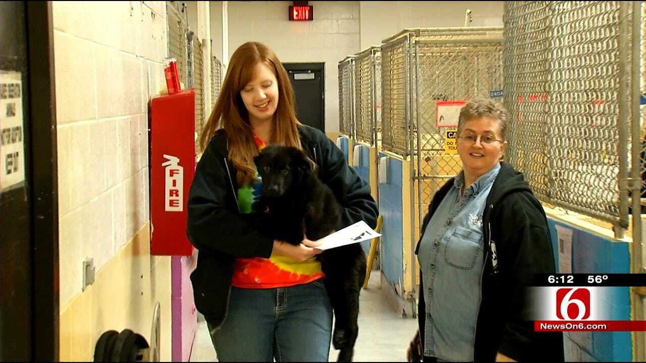 10,000th Animal Rescued By Tulsa Animal Rescue Foundation