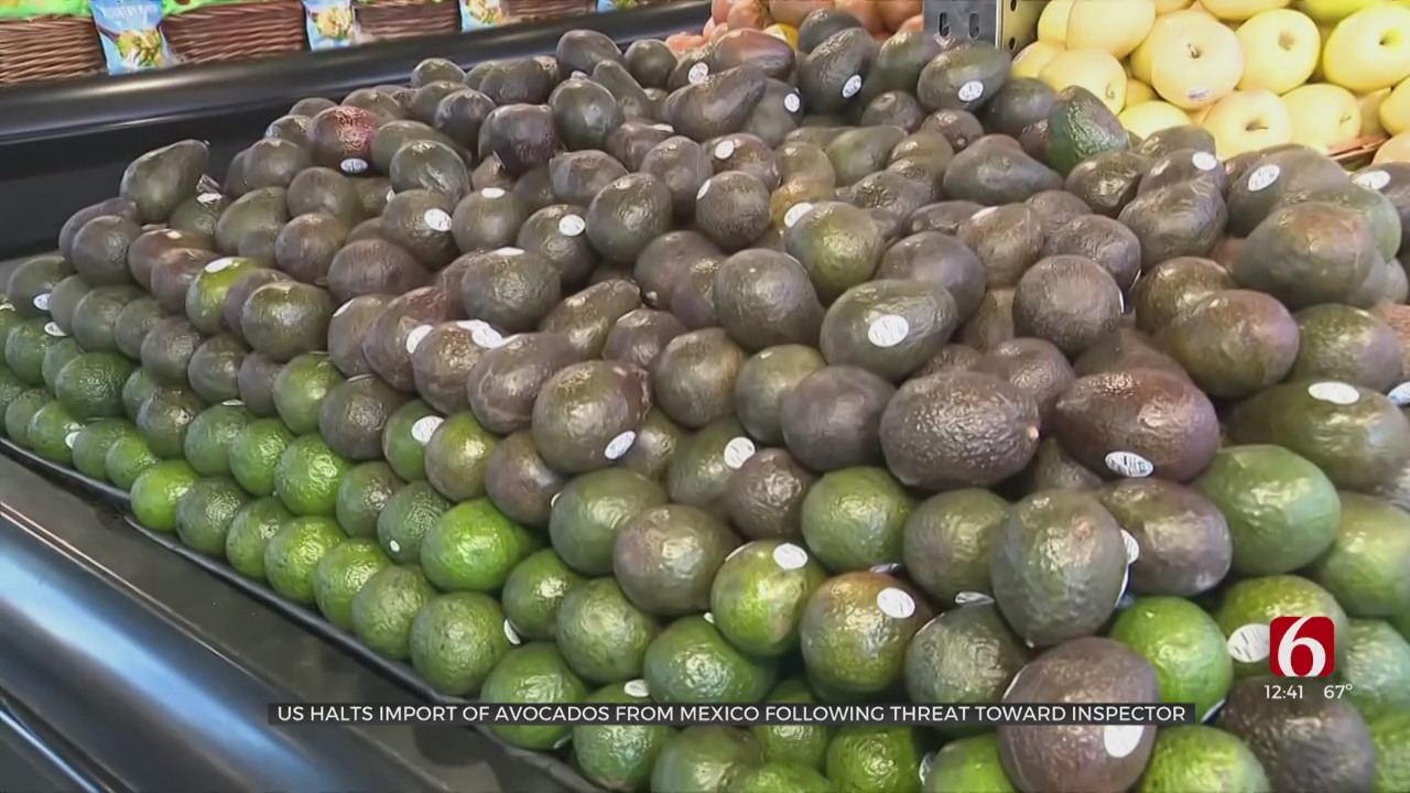 Mexico Says Conspiracy Behind Avocado Ban; US Cites Violence