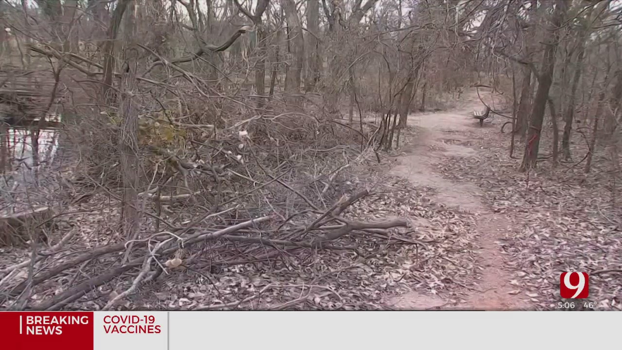 OKC Parks Approved To Use $1 Million To Clean Up Ice Storm Debris