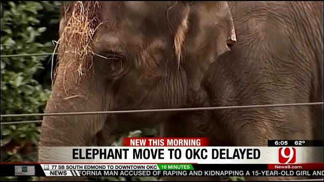 Another Bump In The Road For Seattle Elephants Being Transported To OKC