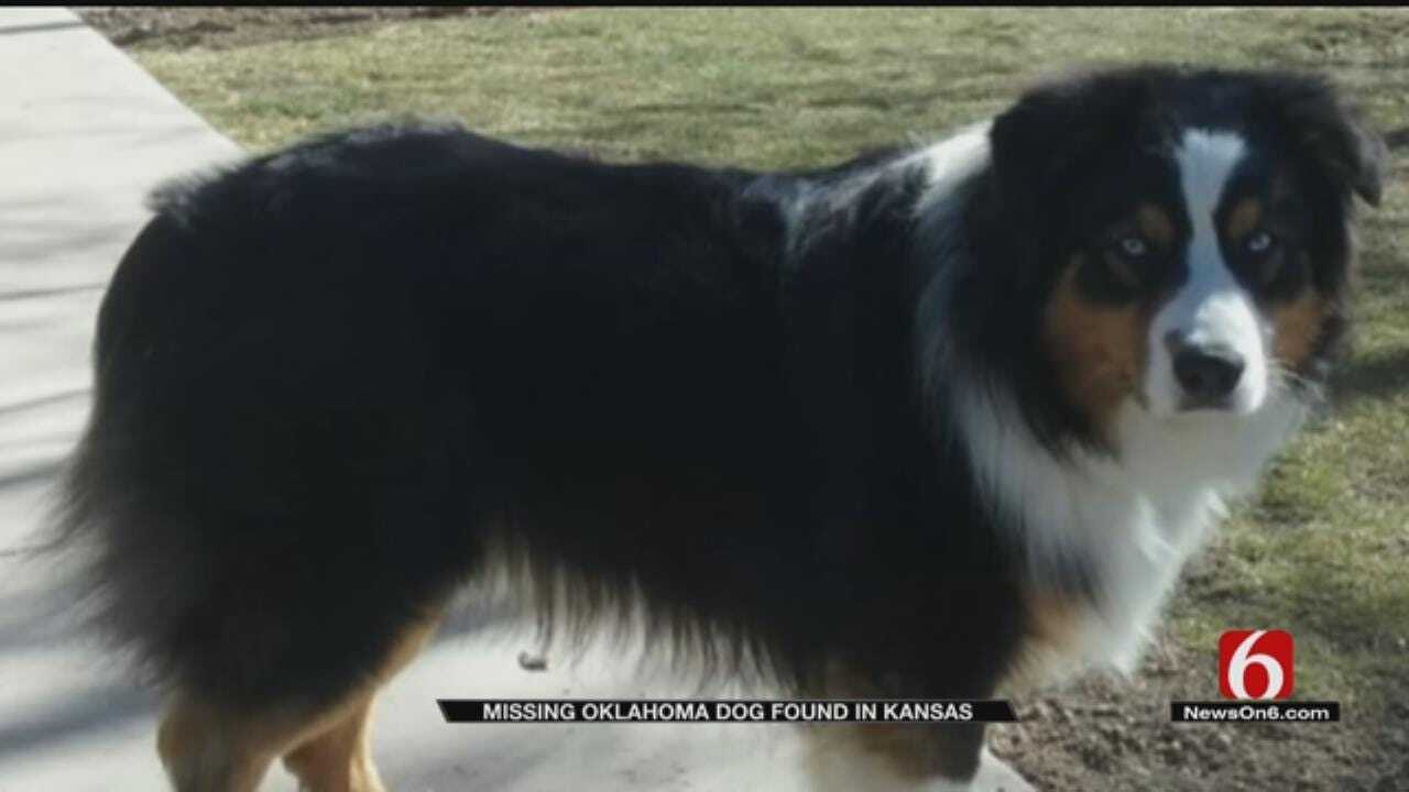 Rogers County Family Reunited With Missing Dog