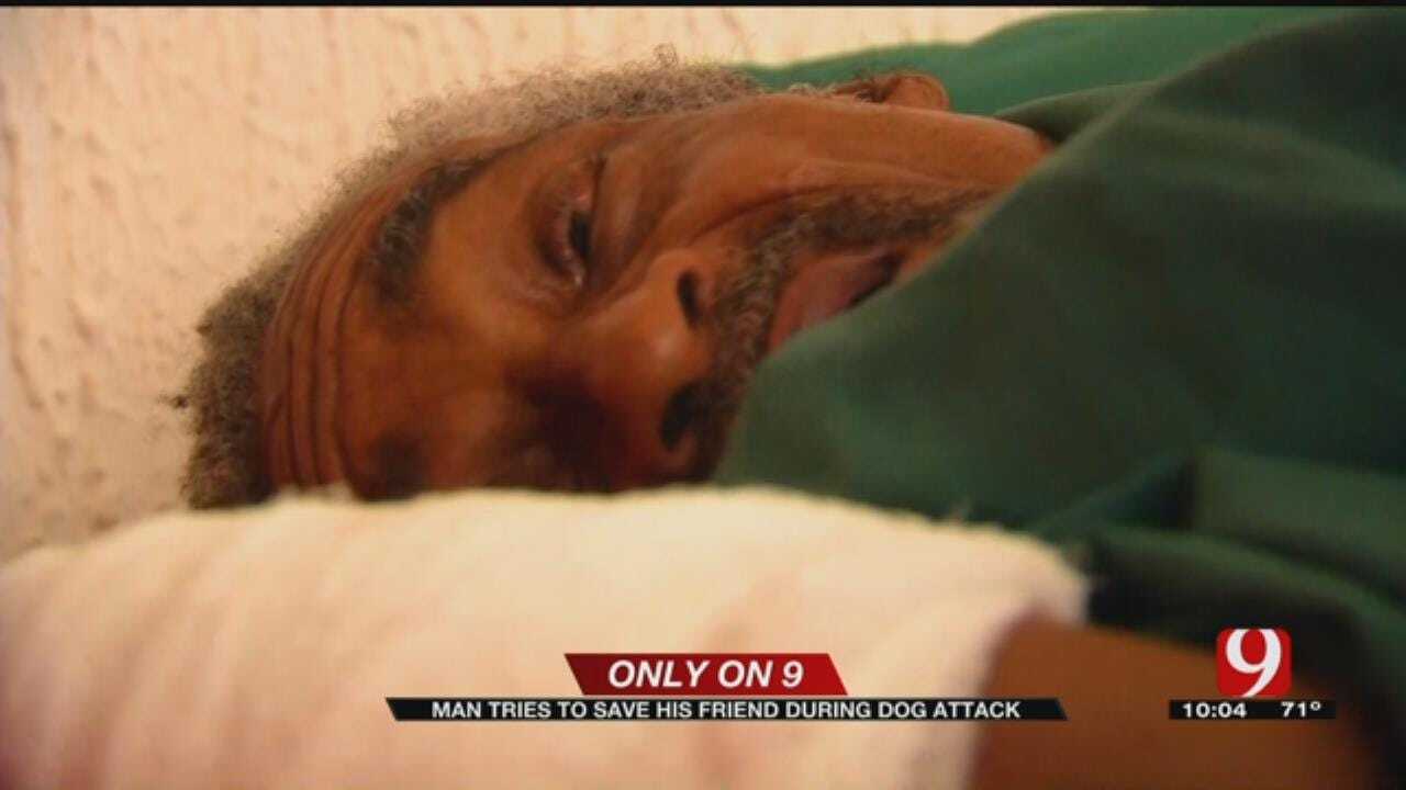 Only On 9: Man Tries To Save His Friend During A Dog Attack