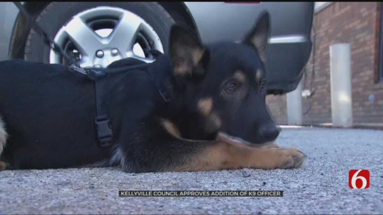 Kellyville Town Council Votes To Pay For Police K-9 Unit