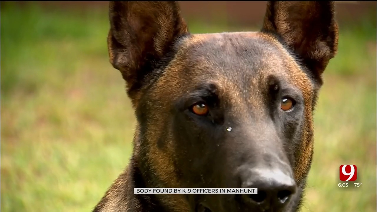 Ground Zero Training Dog Found Body Believed To Be Involved In Garvin County Manhunt