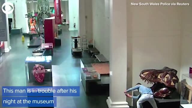 WATCH: Surveillance Video Shows Man Breaking Into Museum To Take Selfies